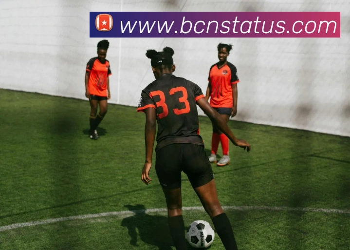 App功能展示图